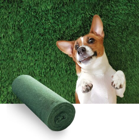 Quick Fix Roll | Grow a healthier lawn, faster