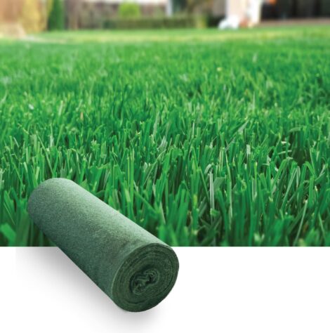 Lawn bermuda - Biodegradable grass seed mat