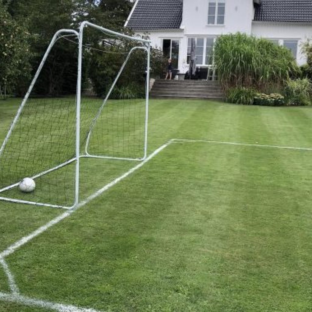 soccer grass