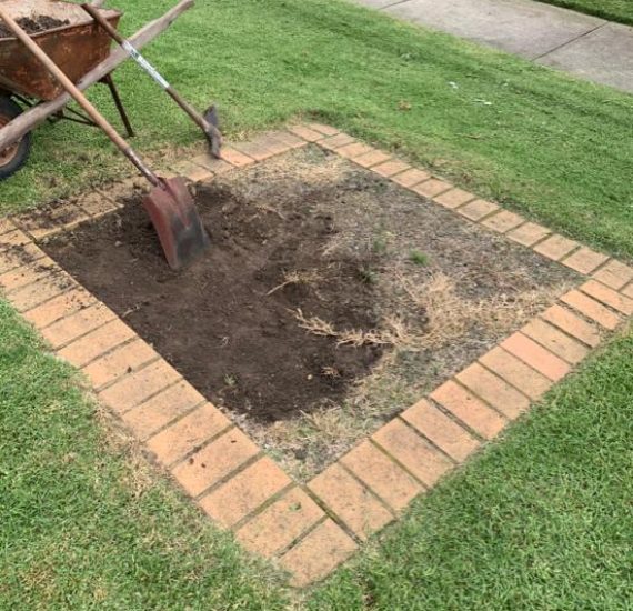 Repair lawn with Turbo Patch Repair