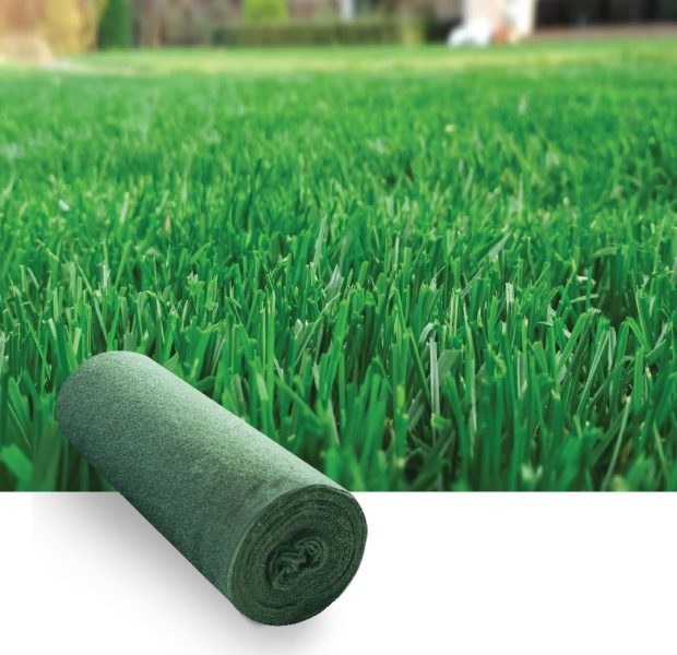 Lawn bermuda - Biodegradable grass seed mat