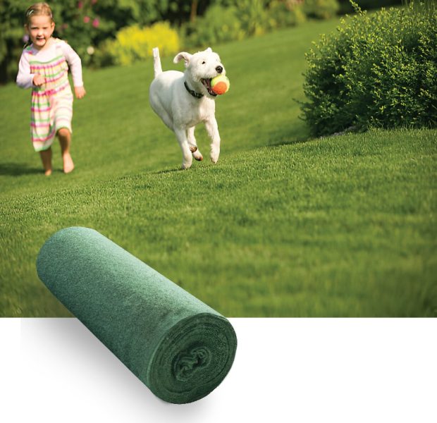 Grass seed premium - Biodegradable grass seed mat